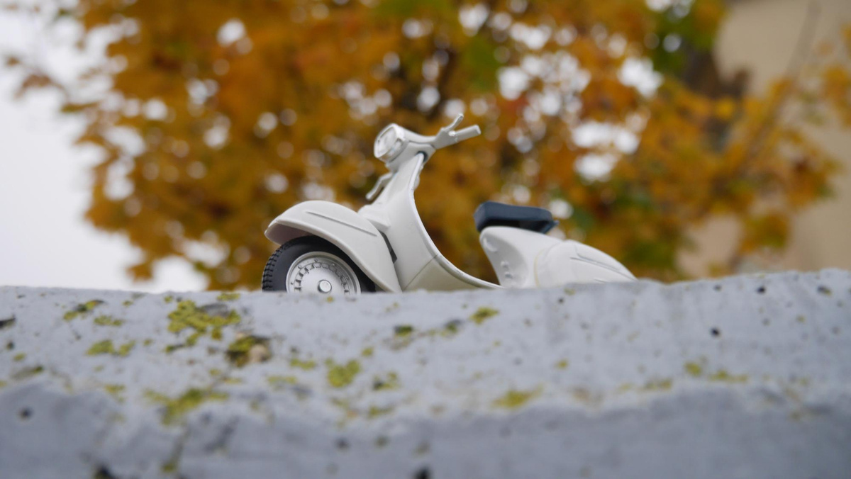 Фото: freepik.com  📷
