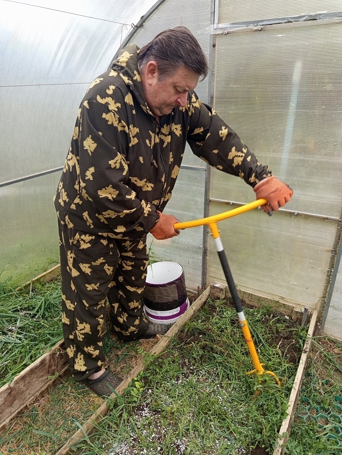 При перекопке грядок лопатой не пользуюсь. 