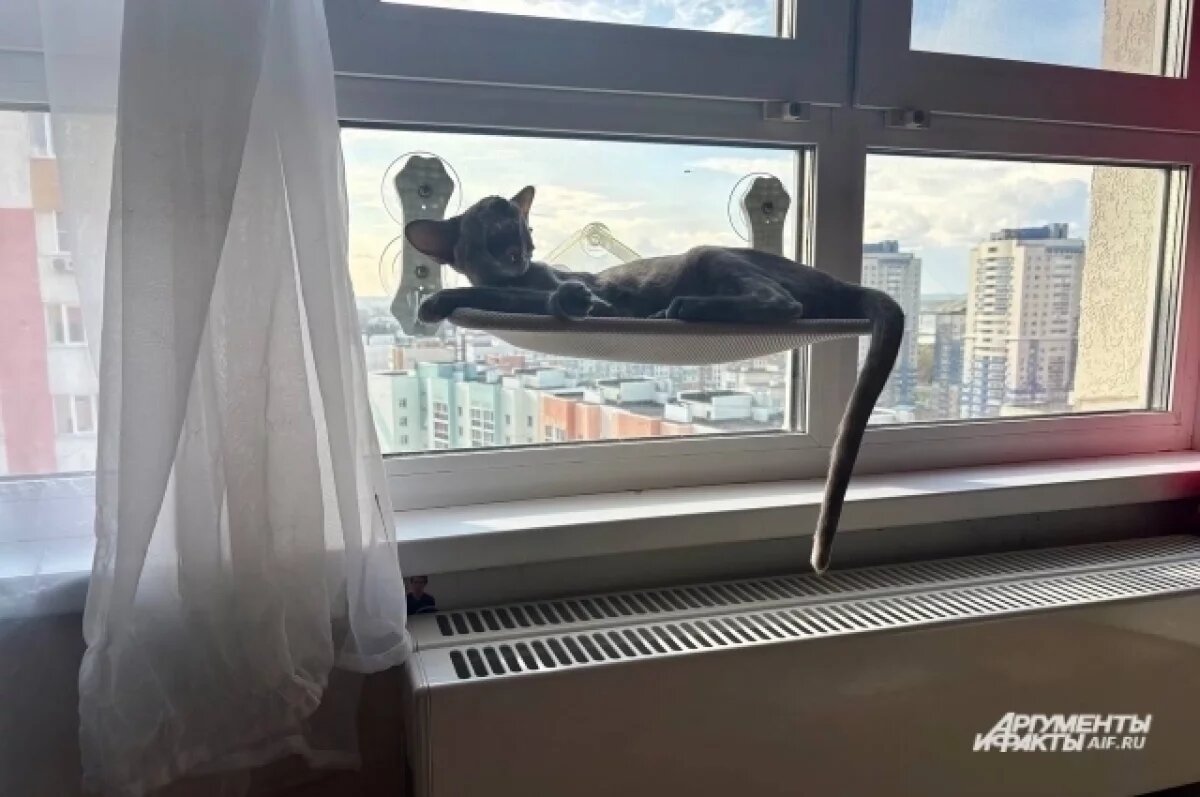    Новосибирск получил паспорт готовности к отопительному сезону