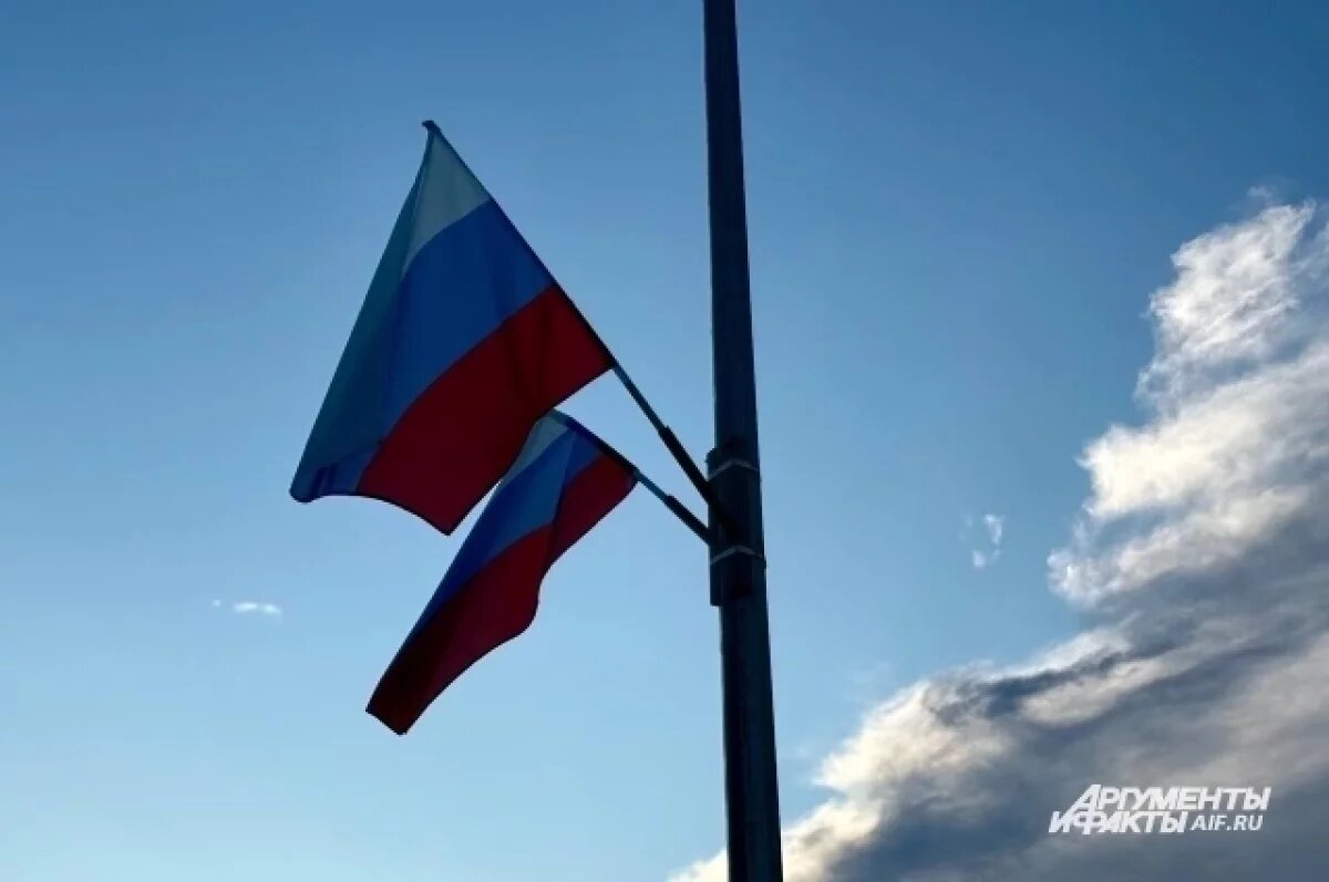    Ведерников поздравил с Днем воссоединения Новороссии и Донбасса с Россией