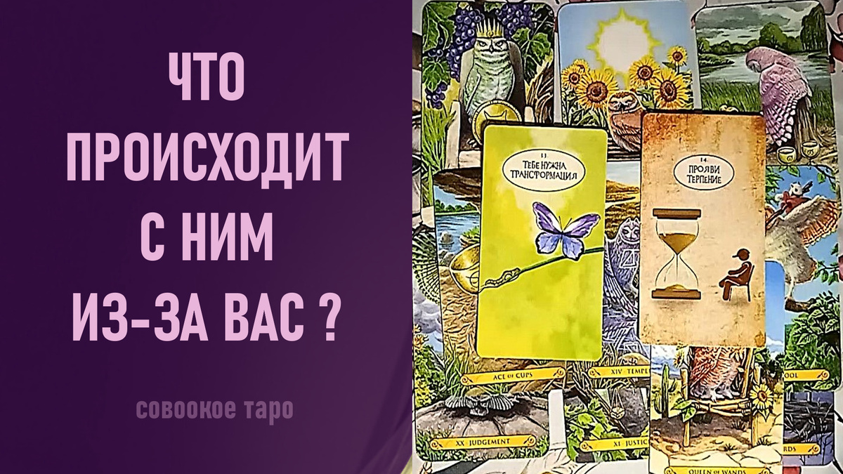 Совоокое таро, карты таро, расклад таро, таро онлайн, гадание таро, расклад