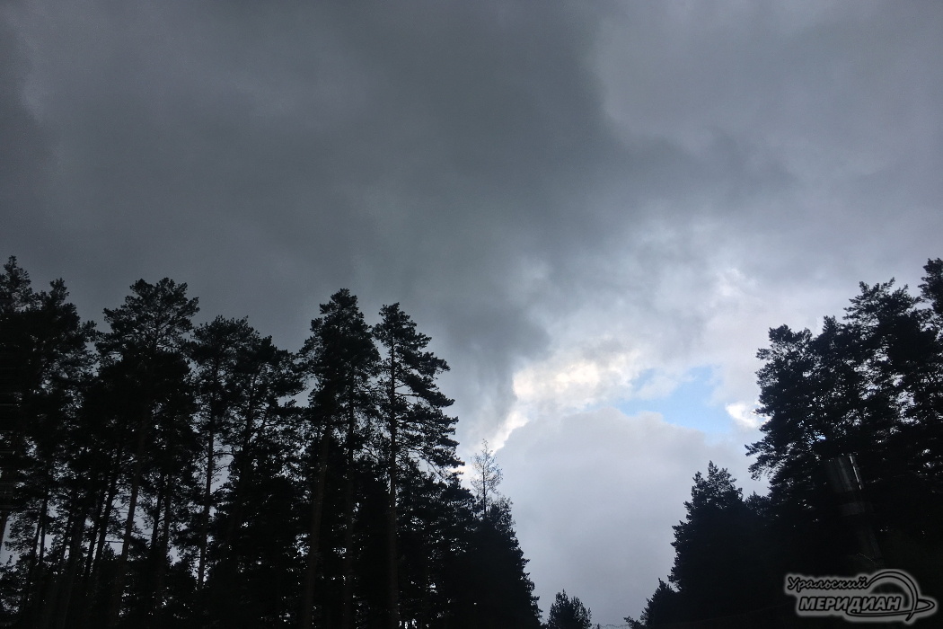    Фото: Ольга Аникина © ИА «Уральский меридиан»