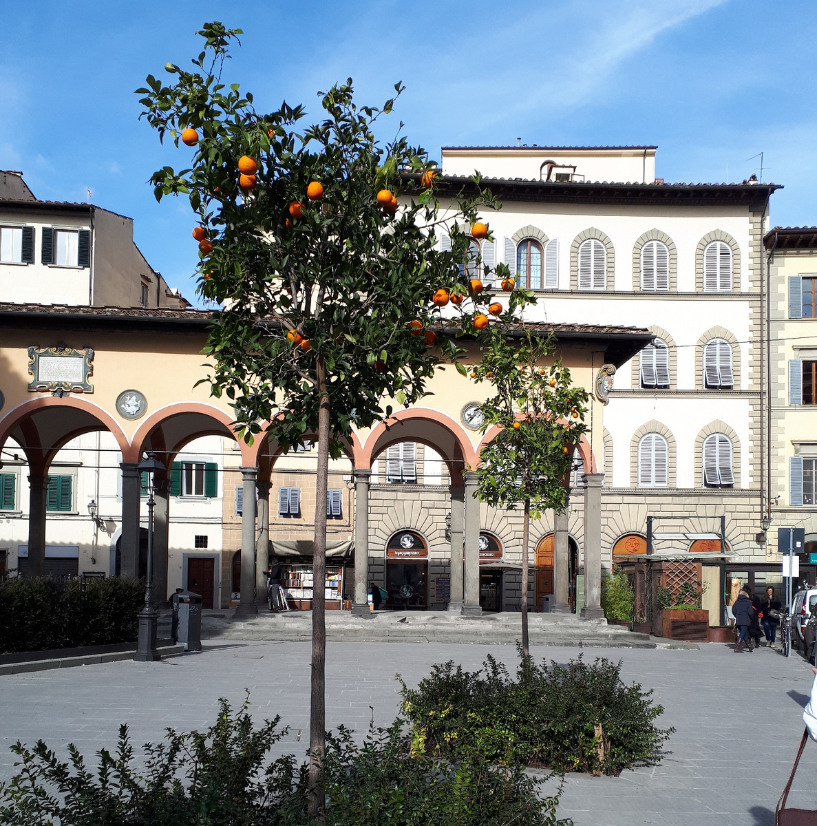 Флоренция, февраль 2021 года, последнее путешествие перед эпидемией