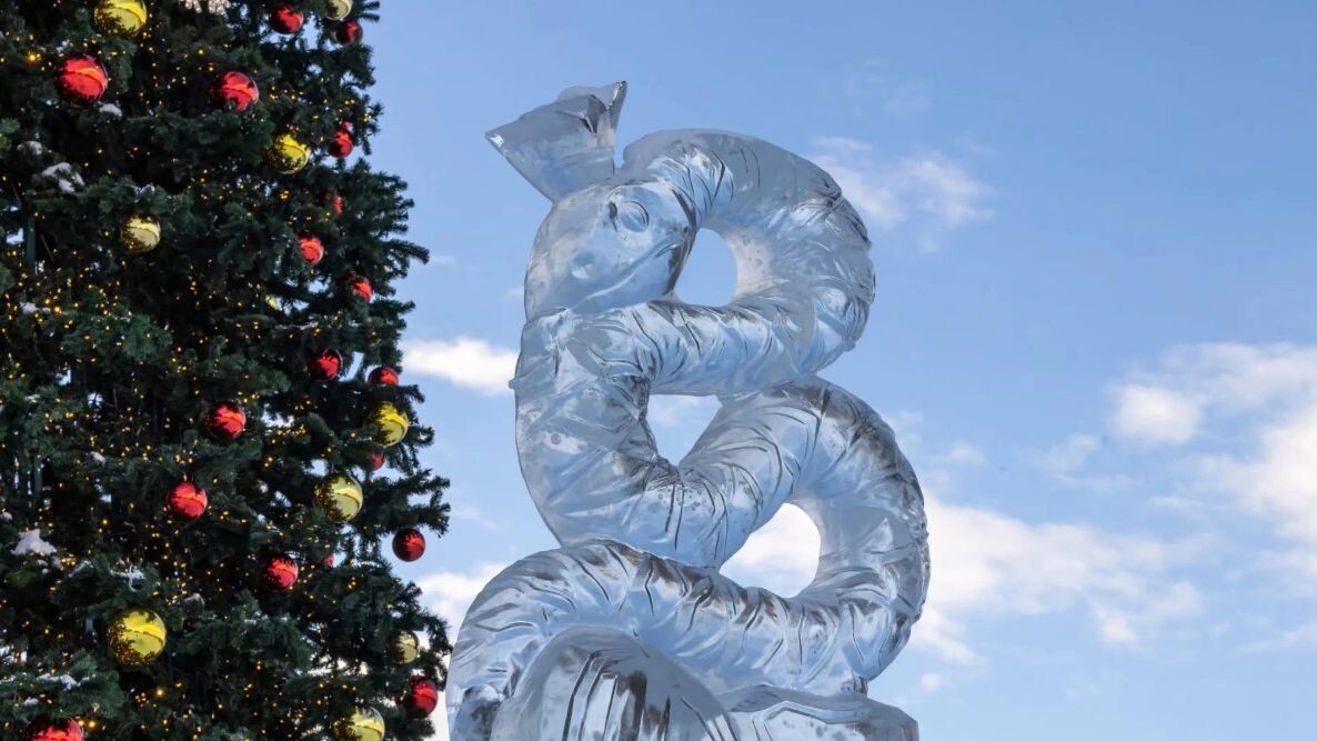    Фото: Федор Воронов / «Ямал-Медиа»