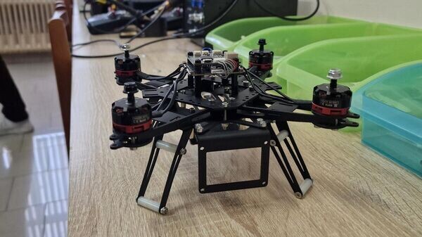    © Sputnik / Александр Жибуль