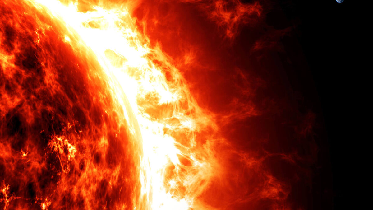     Фото: Naeblys/Shutterstock/FOTODOM