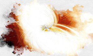 Изображение от antonioli на Freepik  📷
