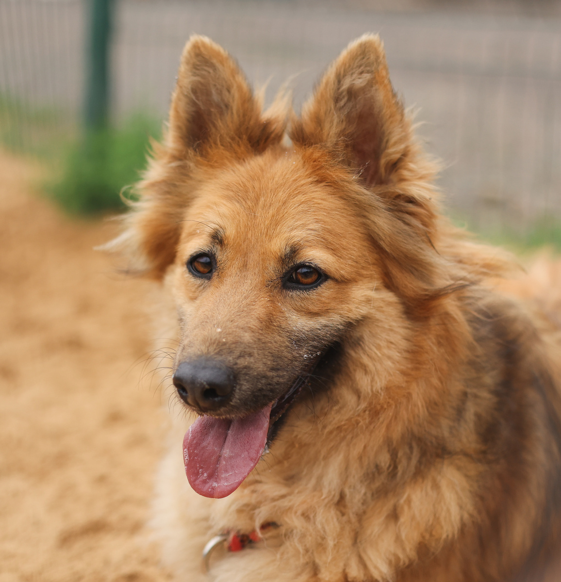 Никому я так и не приглянулась?