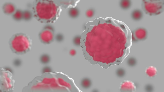 Ученые нашли способ заставить рак самоуничтожаться: поможет морской сахар
