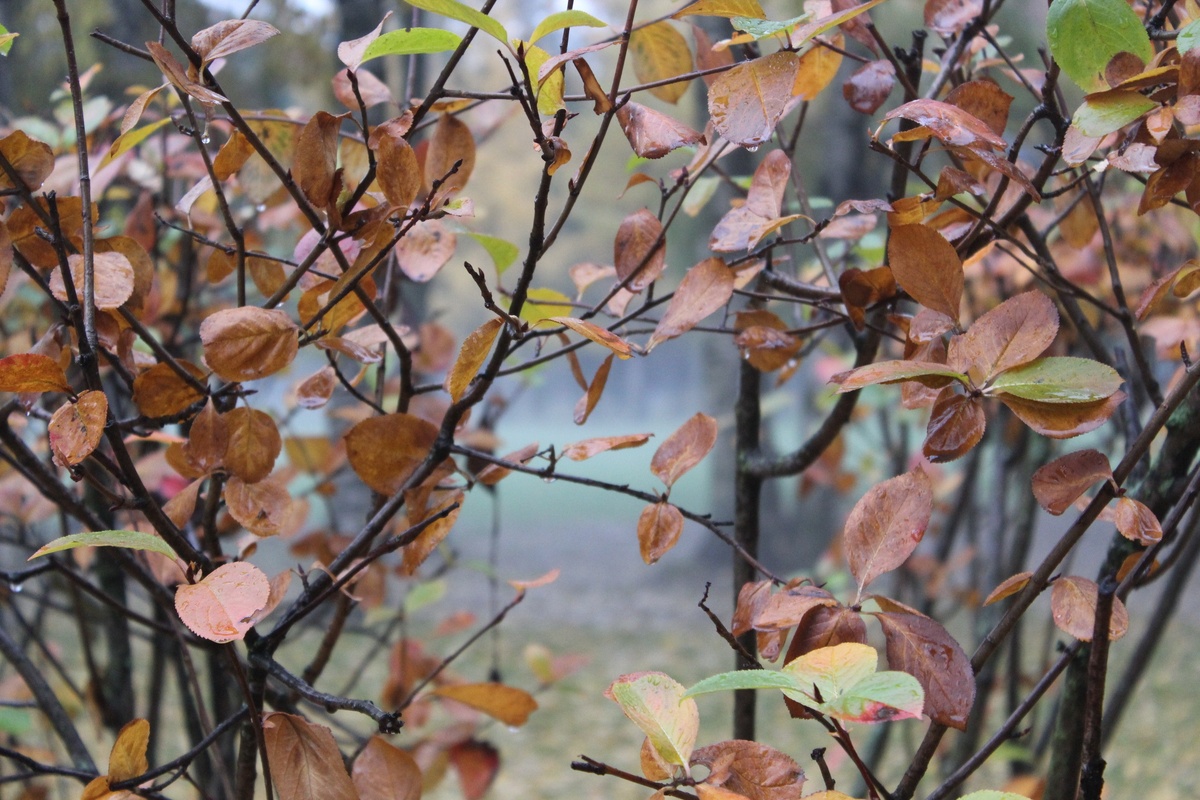    Фото: Мойка78