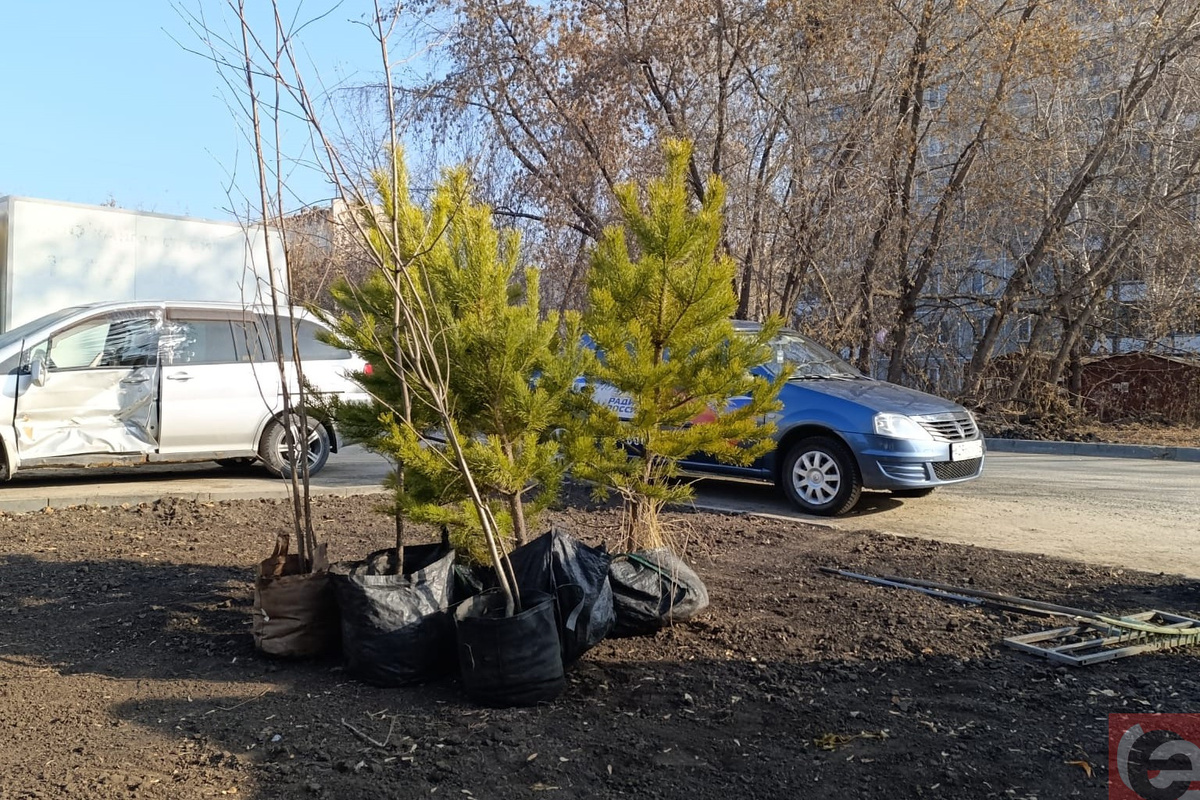    Фото: Прецедент