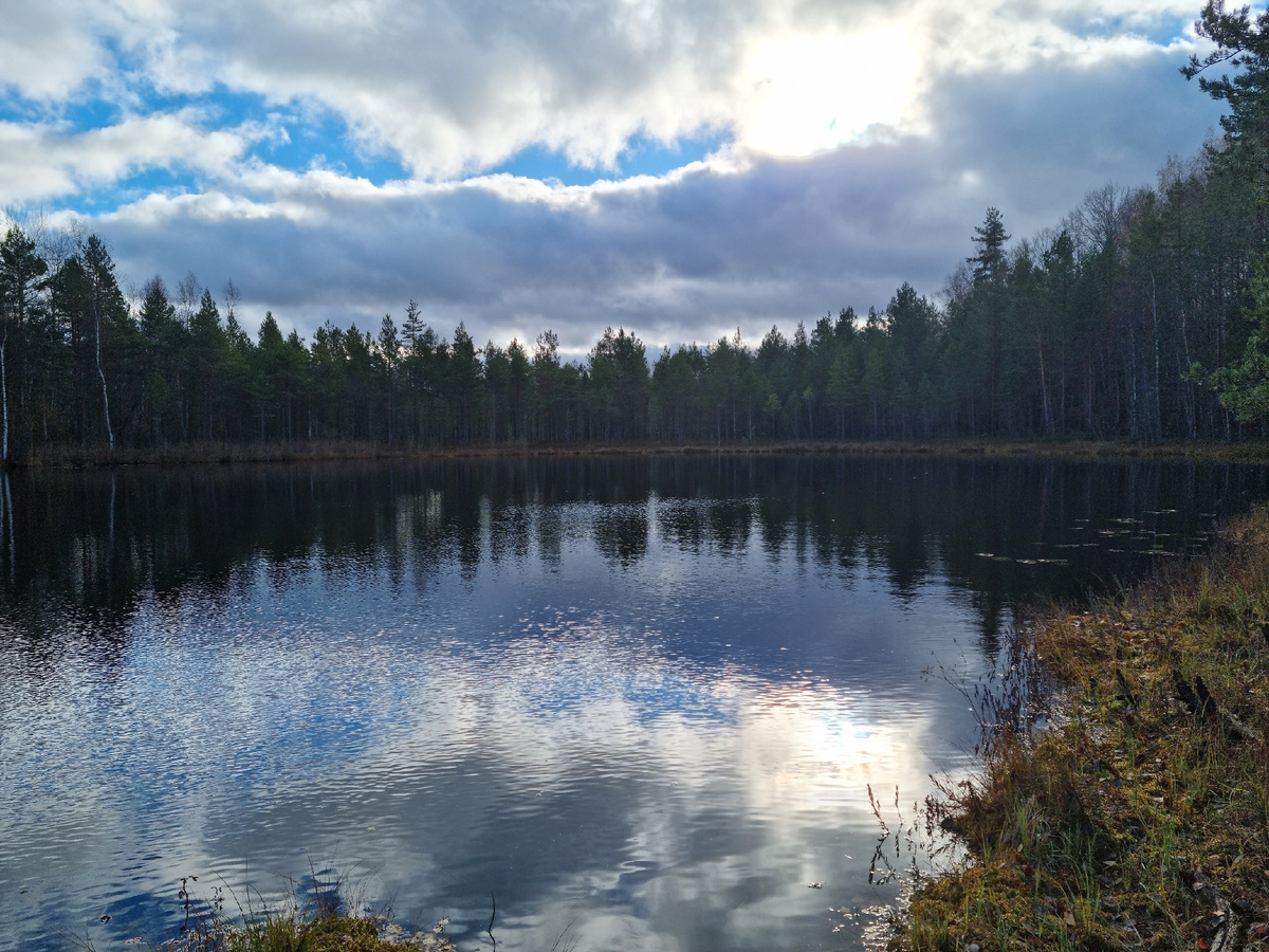 Фото художник Небесный Рыцарь (В.А. Михайлов)