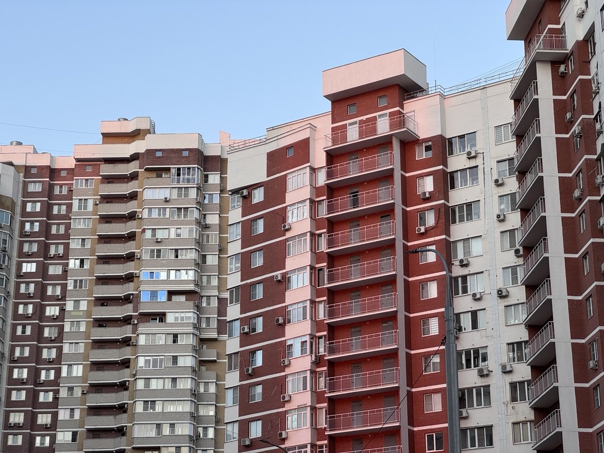    Фото: Екатерина Мухамедова/BFM Кубань