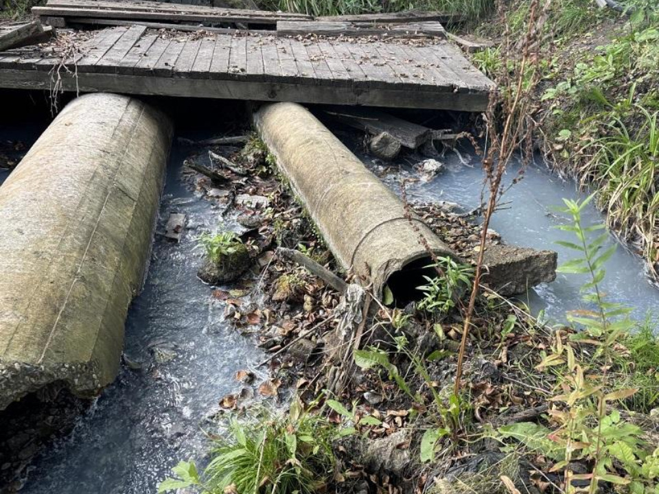    Фото: Министерство экологии и природопользования Московской области