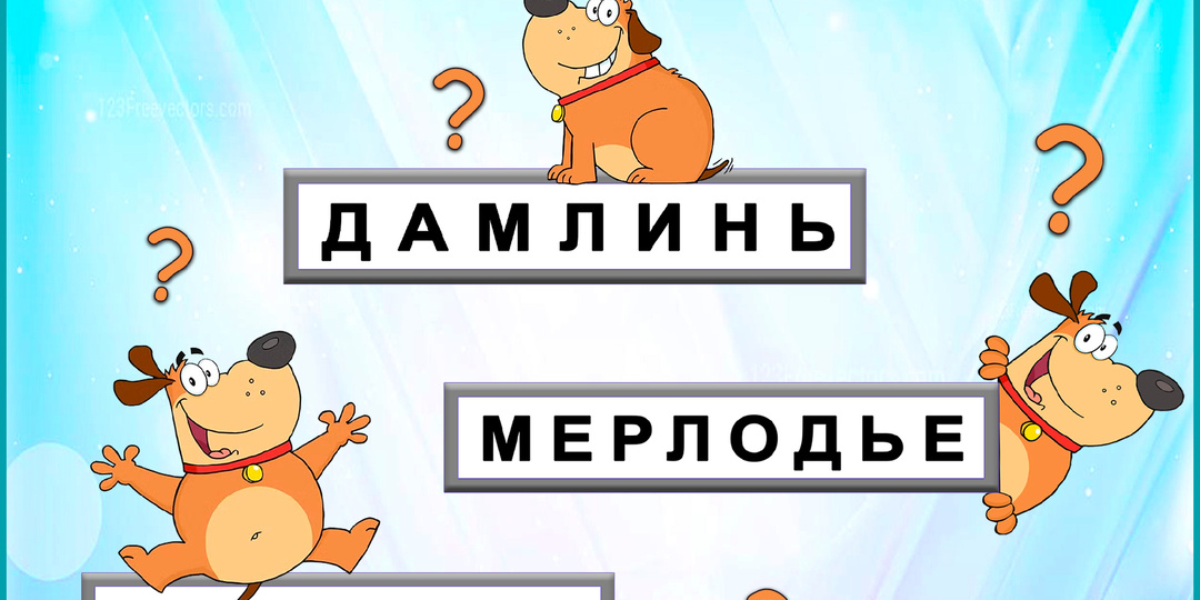 Анаграммы активизируют мозг и повысят его нейропластичность. Разгадаете 7 слов?