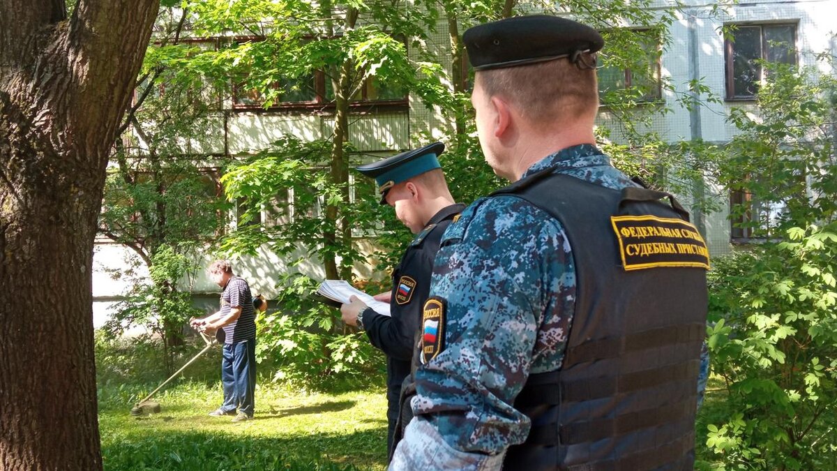    Фото: ГУФССП России по Санкт-Петербургу