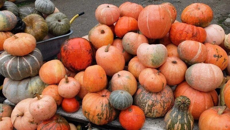      Фото: Администрация Предгорного округа