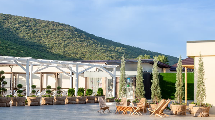 Фото: https://usadbasukko.ru