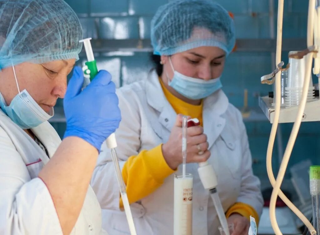 Для производителей молока государственная поддержка является существенным фактором экономического развития // Фото: страница ООО «Юг Молоко» в ВК
