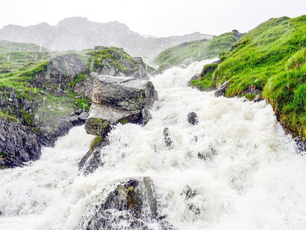 Фото из сети