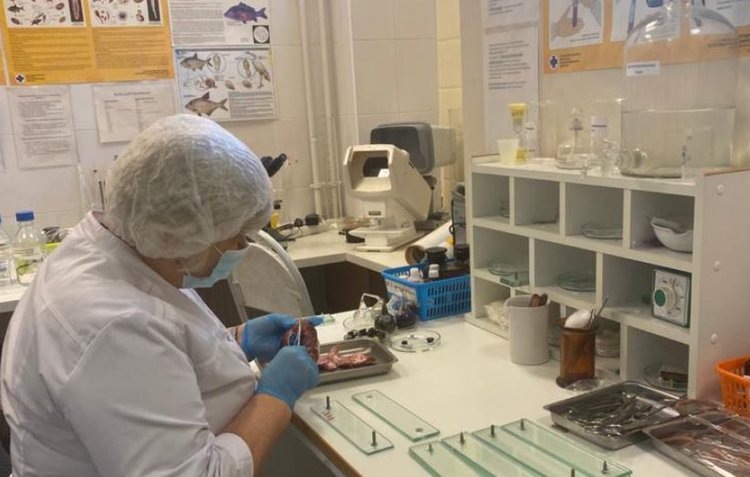    Фото: Минсельхозпрод Московской области