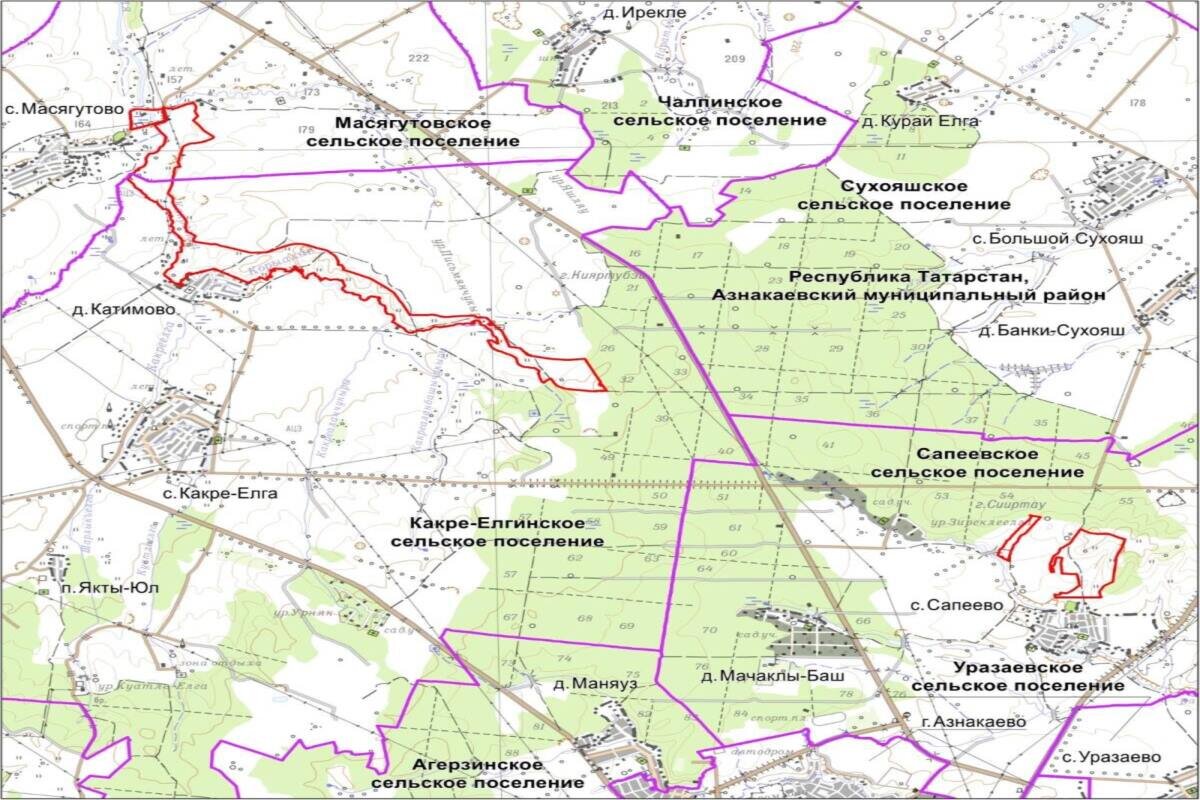    Фото: Госкомитет РТ по биоресурсам, источник: tatar-inform.ru