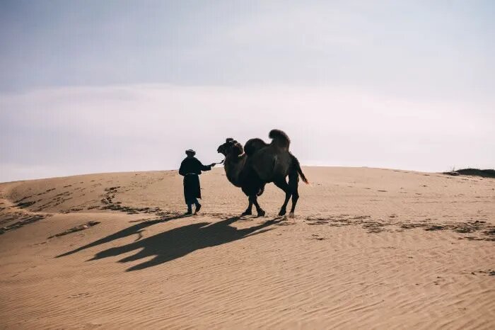 Антропогенная пустыня Черные земли захватила половину территории Калмыкии и угрожает Дагестану и Ростовской области. Фото: russia.travel