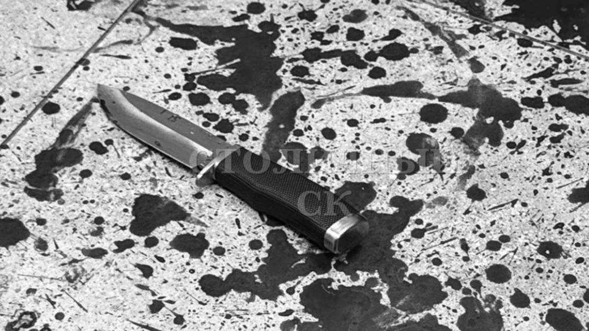    Фото: пресс-служба Следственного комитета России по городу Москве