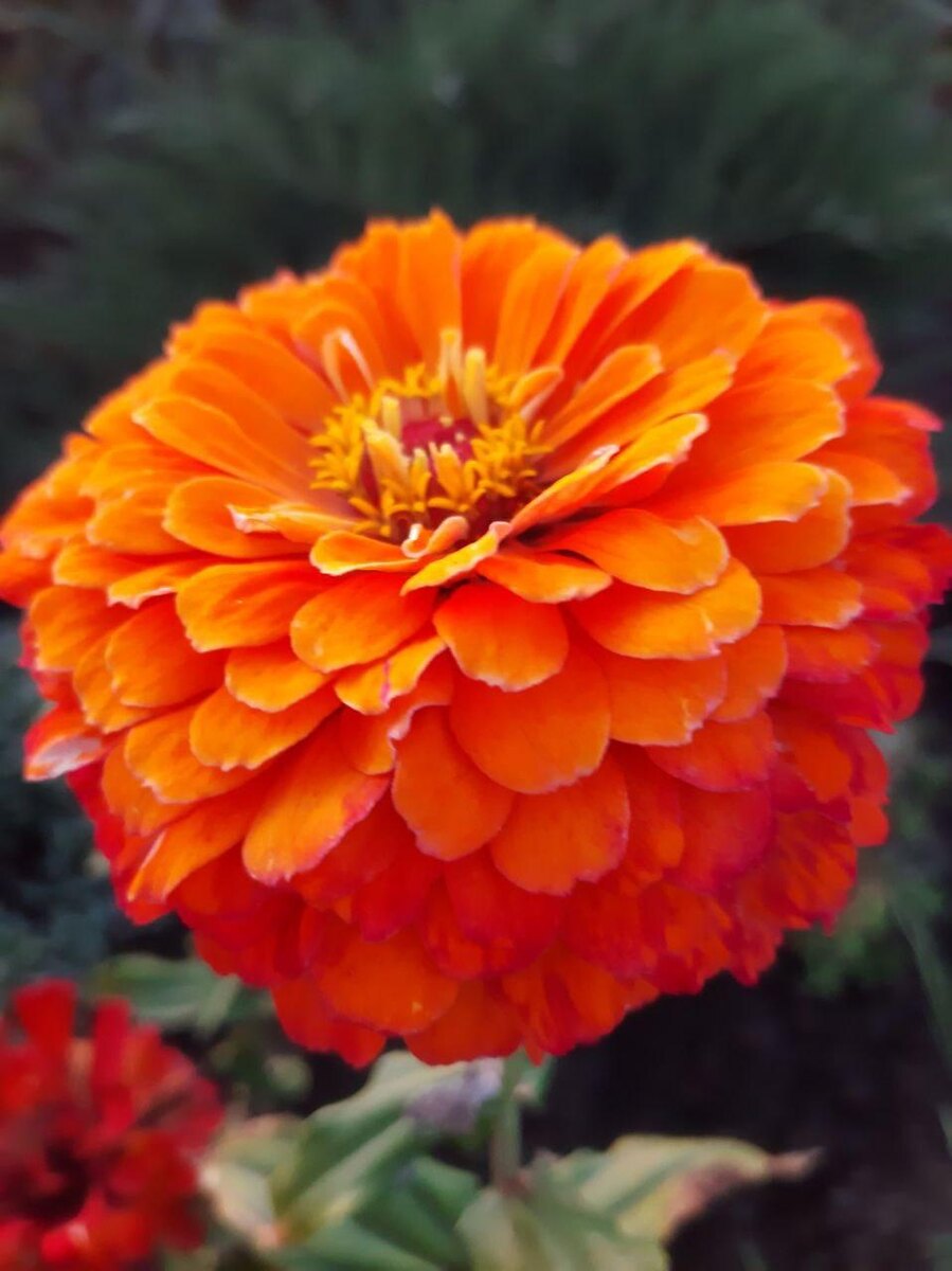 Фото из Белгорода