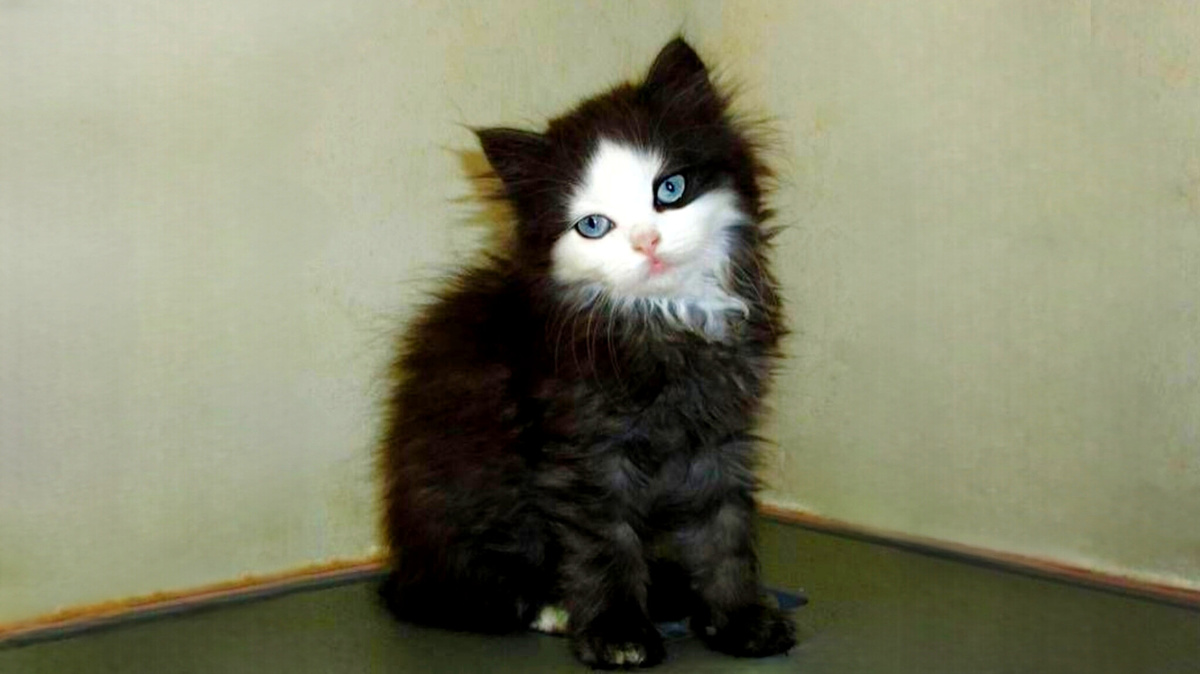 Встала с утра, лицо намыла... ЕЩЕ фото---->>