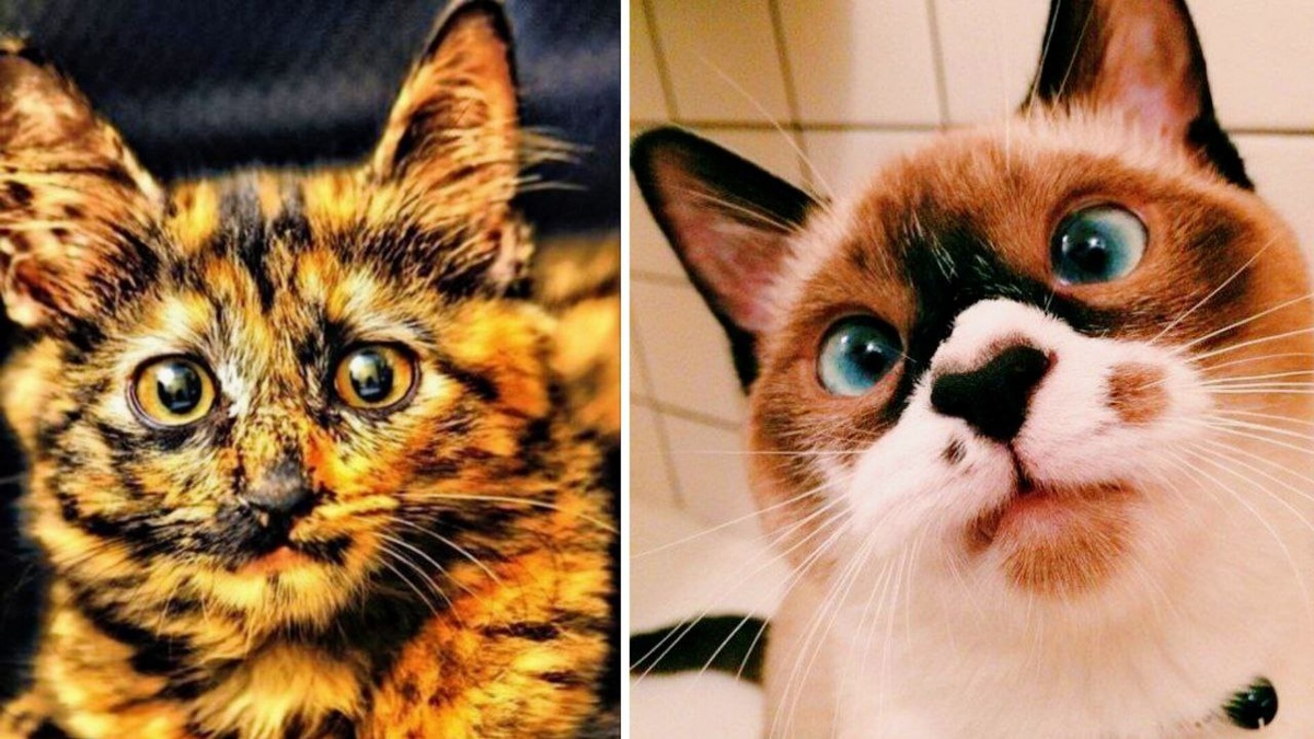 Хоть сейчас в галерею!