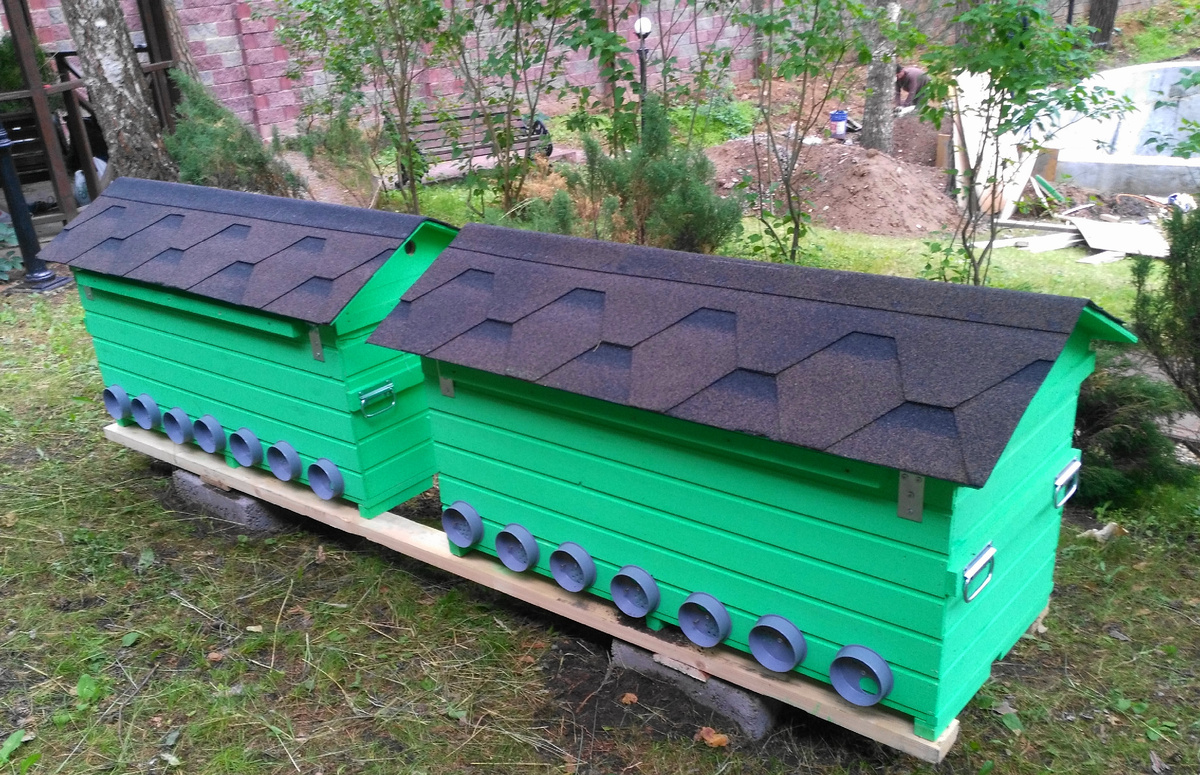 Старт пасеки возможен и с 2 ульев, но лучше с 3 или 6