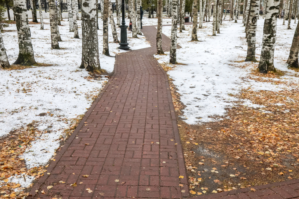    Плюсовая температура в октябре превратит снег в дождь и принесет шквалистый ветер