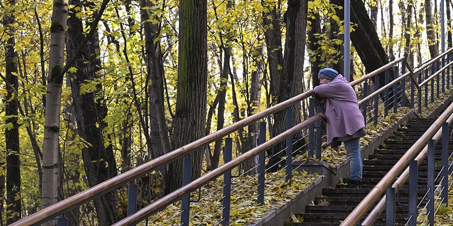    Фото: Москва 24/Никита Симонов