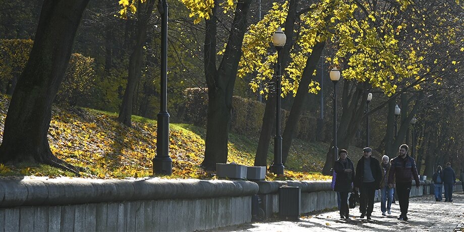    Фото: Москва 24/Никита Симонов