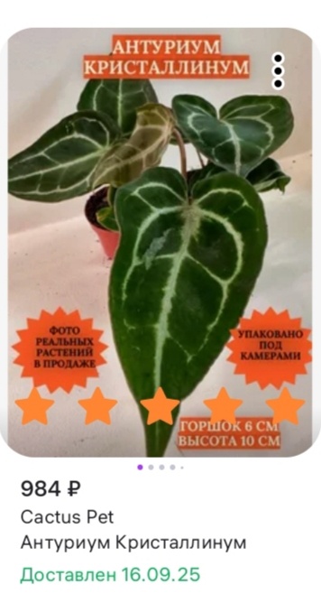 Карточка товара