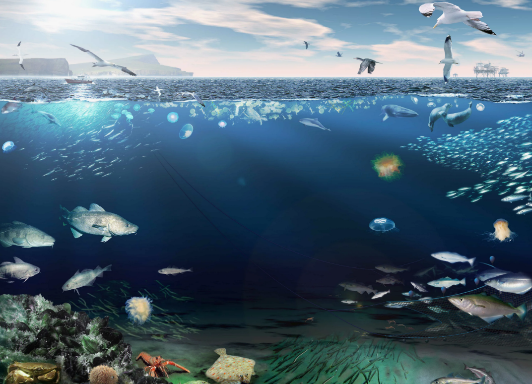 Источник: Яндекс картинки