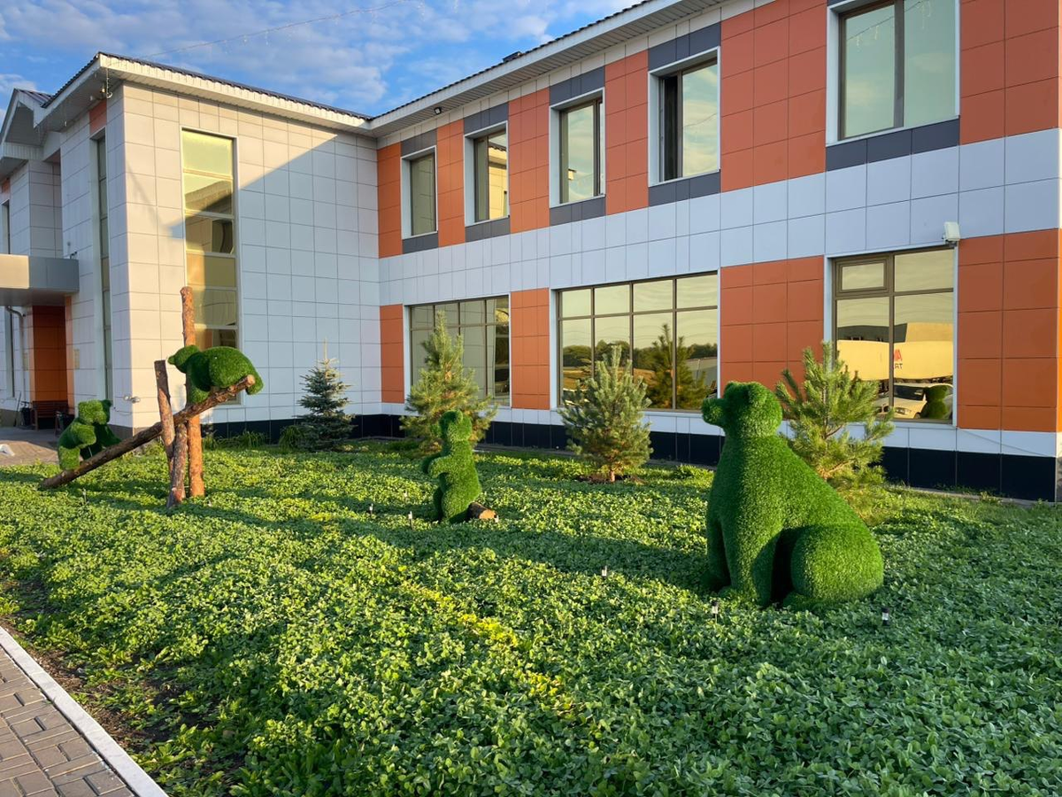 Это медведи на лужайке перед гостиницей