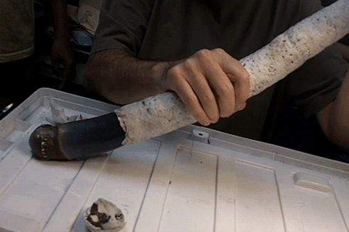 Большому кораблю — большой корабельный червь. 