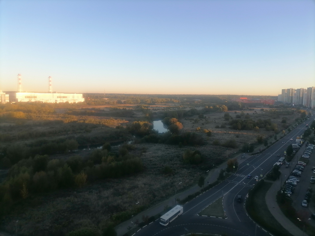 Иней на траве после ночного заморозка