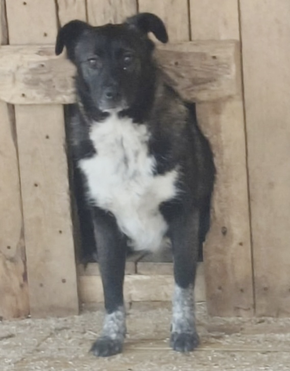 Ох, и задала нам жару Тучка 