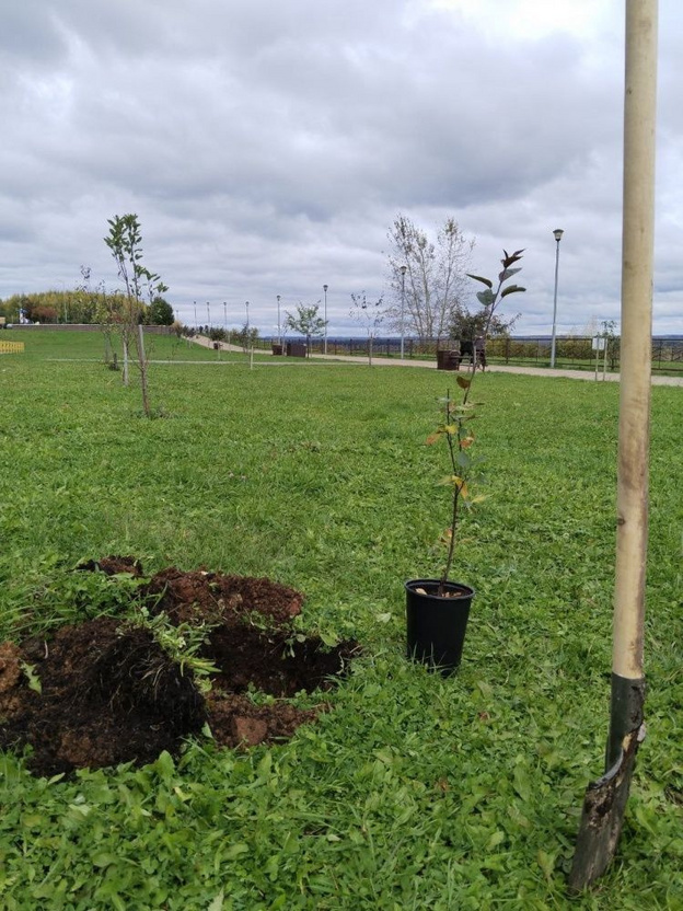    Жители «Солнечного Берега» устроили субботник на набережной