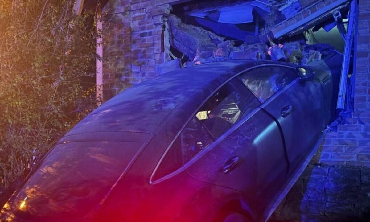    Фото t.me/gibdd161