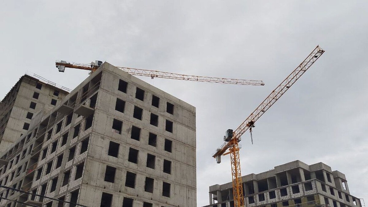    Фото: телеканал «Краснодар»