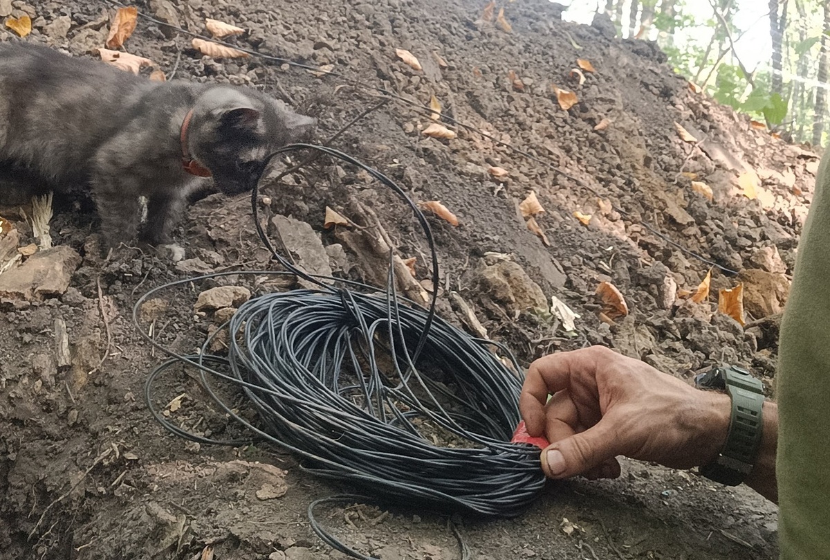 Кошка тоже за СВОих. Фото из личного архива