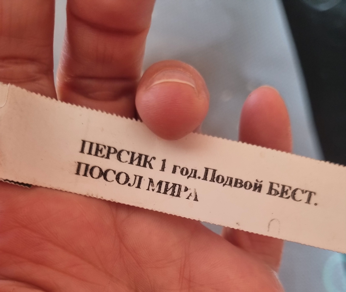 Фото: Зеленая леди, сад, семья и томатный сок