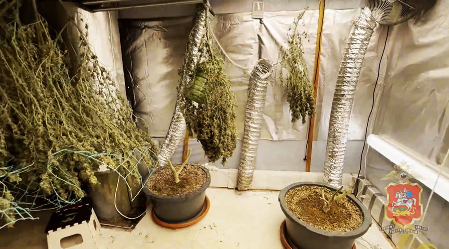    © МВД России