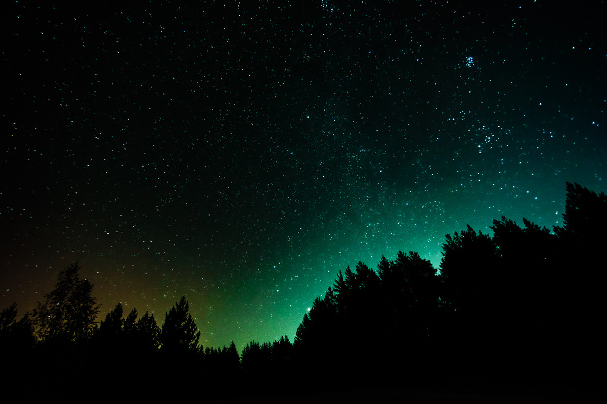Вот вид над деревьями