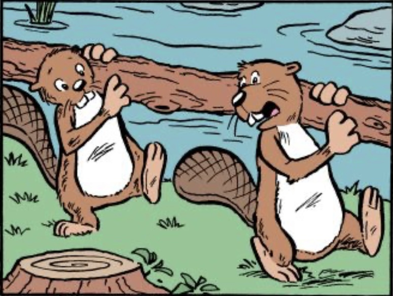 картинка из интернета