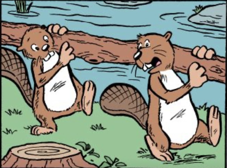 картинка из интернета